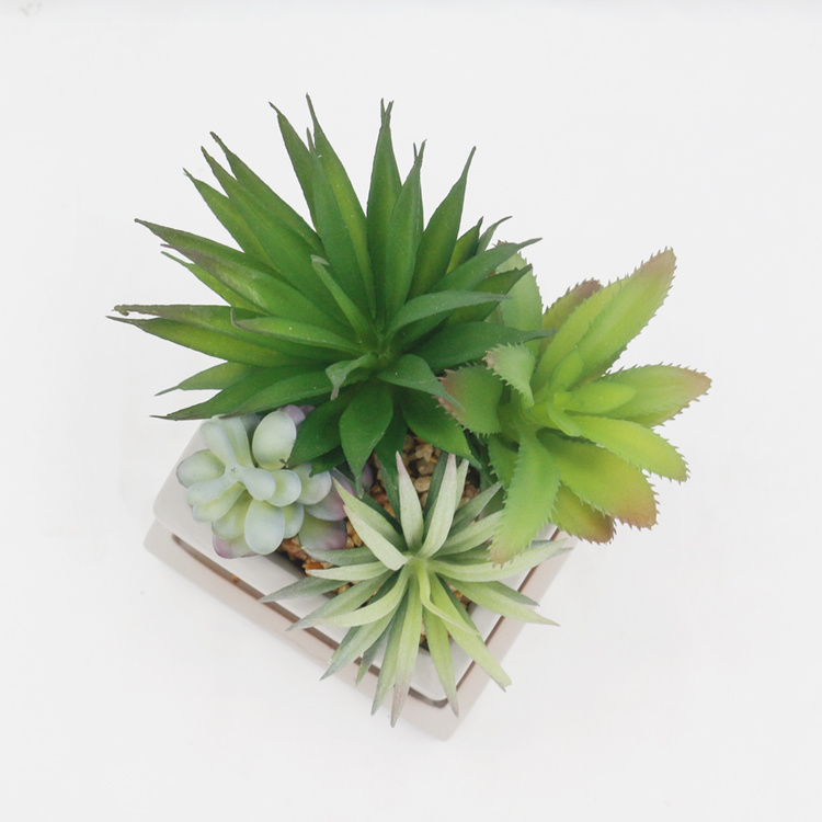Ornamental-Evergreen-Indoor-Desktop-Decoration-Artificial-Succulent-Small-Succulent-Plant-with-Pot (4).jpg 